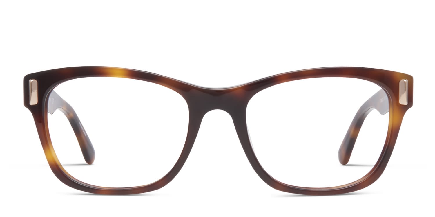 calvin klein tortoise glasses