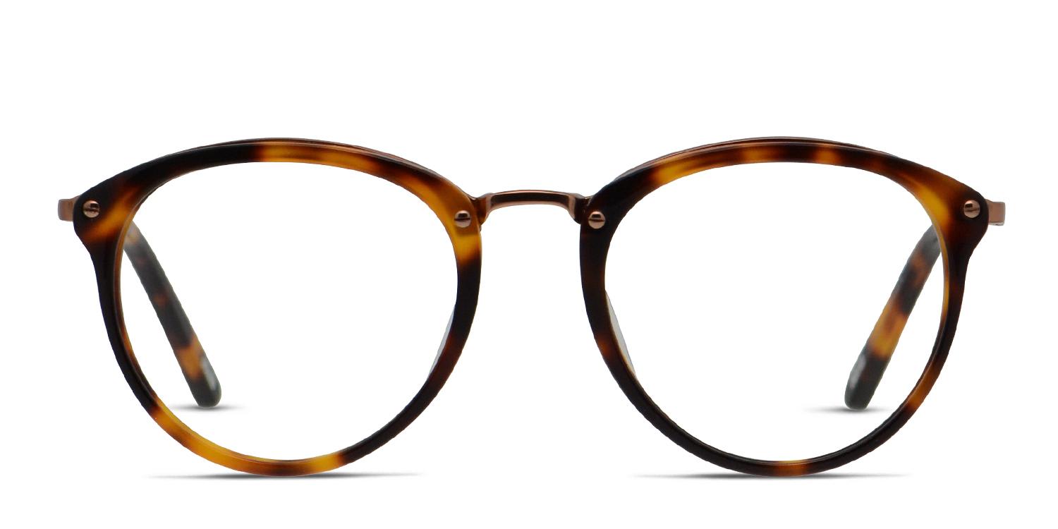Ottoto Everad frame