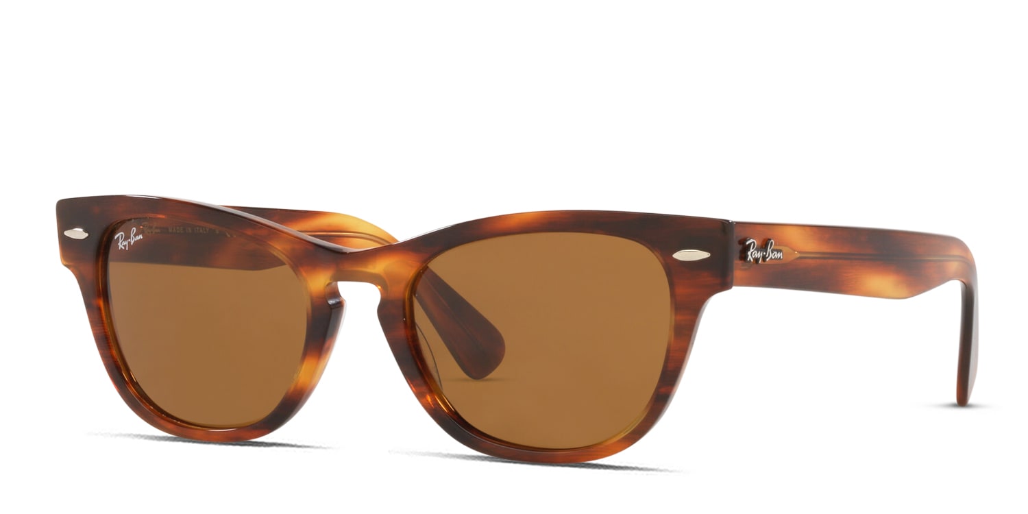 Ray-Ban RB2201 Laramie multicolor , tortoise frame with brown lenses ...