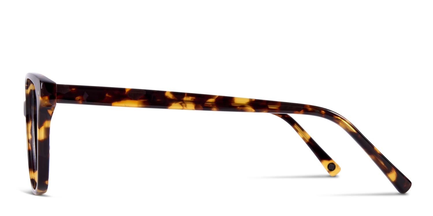 Muse Hopper Tortoise Prescription eyeglasses