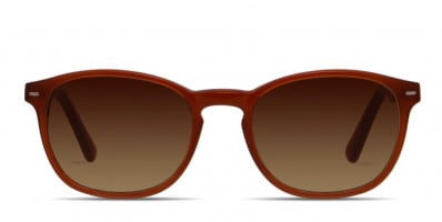 Celine 41394/S Wine w/Tortoise Prescription Sunglasses