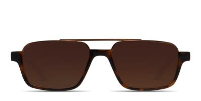 PQ By Ron Arad Park Royal Brown Gunmetal Prescription Sunglasses