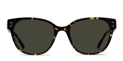 Saint Laurent SL 506 Tortoise Prescription Sunglasses
