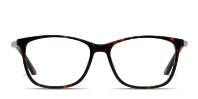 Amelia E. Laura Tortoise