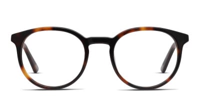 Ottoto Piero Brown, Tortoise