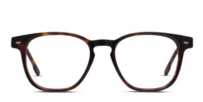 なおと Ottoto Donato Tortoise w/Gold Eyeglasses | Includes FREE Rx