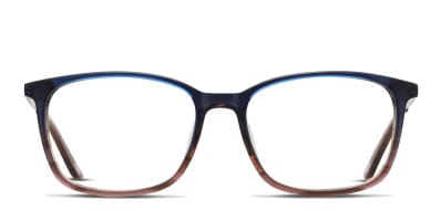 Ottoto Chiellini Blue, Brown