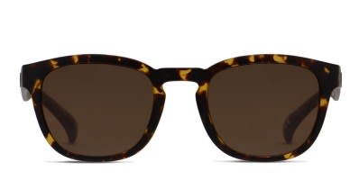 Coach HC8312U tortoise frame with brown solid lenses. Lenses