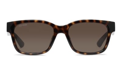Gucci GG1716S Tortoise