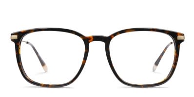 RAEN Saint Malo II Tortoise Prescription Eyeglasses