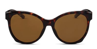 Smith Optics Bayside tortoise frame with polarized rose gold