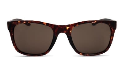 Ray-Ban 0RB4264 Sunglasses in Tortoise | Target Optical