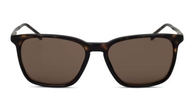 Oakley moonlighter tortoise online