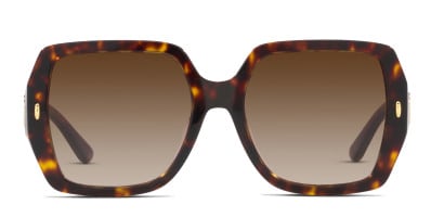 Coach HC8249 Brown Gray Tortoise