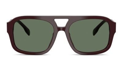 Ray-Ban RB2198 Bill gray, tortoise frame with polarized  display picture 1