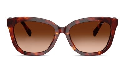 Balmain BL2107B tortoise frame with brown gradient lenses  display picture 2