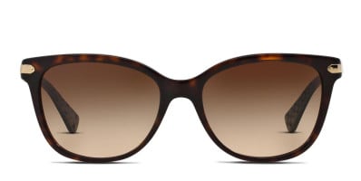 Coach HC8179 Tortoise Brown Prescription Sunglasses 50 Off Lenses