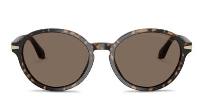 Georgio Armani Stylish Tortoiseshell Sunglasses Giorgio Armani 147 721 Tortuga Sunglasses With Matching  main image 4
