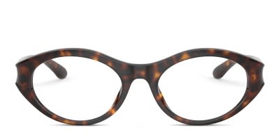 Ray-Ban RX7257 Shilo black frame