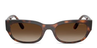 Ferragamo SF958S tortoise frame with gradient brown lenses  display picture 1
