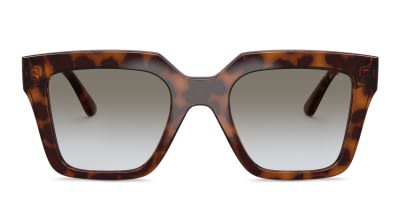 Roberto Cavalli SRC002M tortoise frame with gradient grey  display picture 1