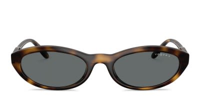 Ray-Ban RB2223 tortoise frame with dark grey lenses. Lenses 