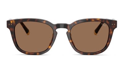 Muse Joseph Tortoise Prescription Sunglasses - 50% Off Lenses