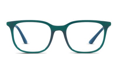 Ray Ban Eyeglasses RX5355 livinh 5674