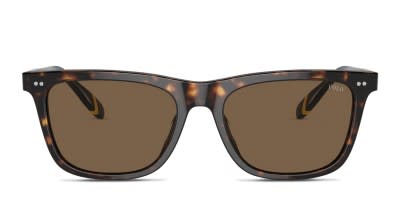 Ray-Ban RB2216 Tortoise, Brown