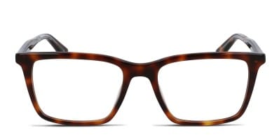 Muse Karri Tortoise
