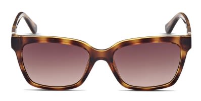 Coach HC8207 Tortoise Brown Prescription Sunglasses 50 Off Lenses