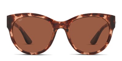 Costa fernandina rose gold shop
