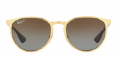 Ray-Ban 3539 Erika Matte Gold w/Brown Polarized