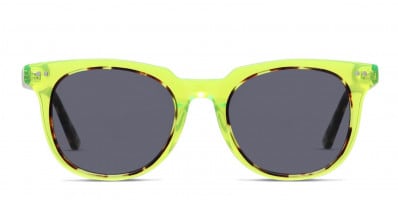 Muse Zinger Yellow, Clear, Tortoise