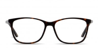 Amelia E. Laura Tortoise