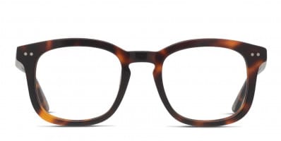 Muse McNeil Tortoise
