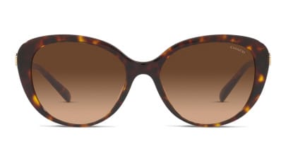 Coach sunglasses hc8003 top