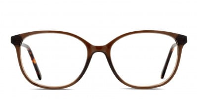 Muse Jeannie Brown/Tortoise