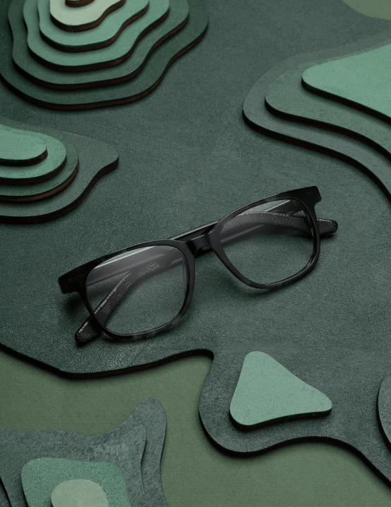 Save the tortoise collection