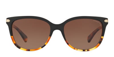 Coach HC8132