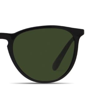 Ray-Ban RB4171 Erika Black w/Green