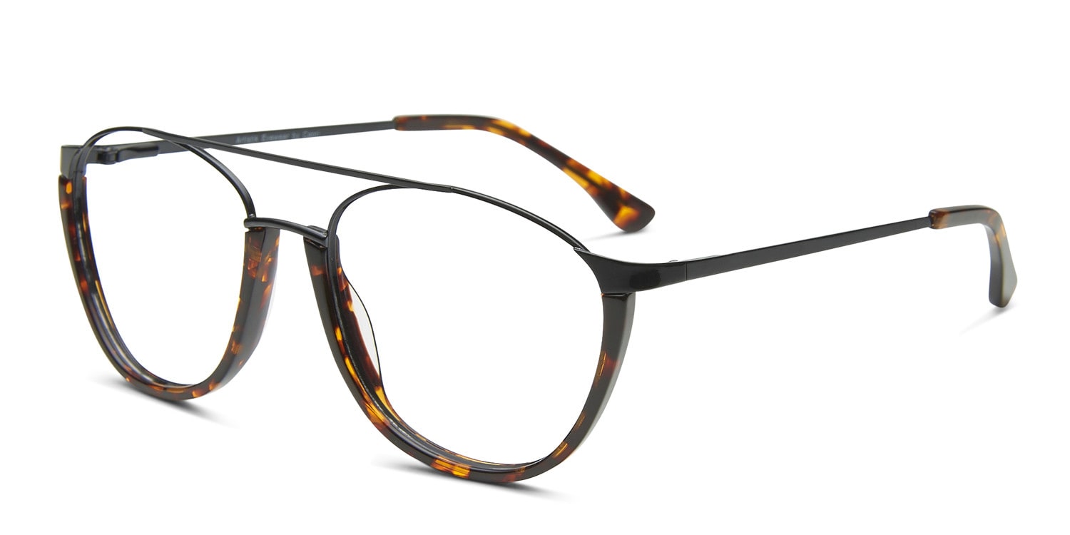 Wylie Black/Tortoise