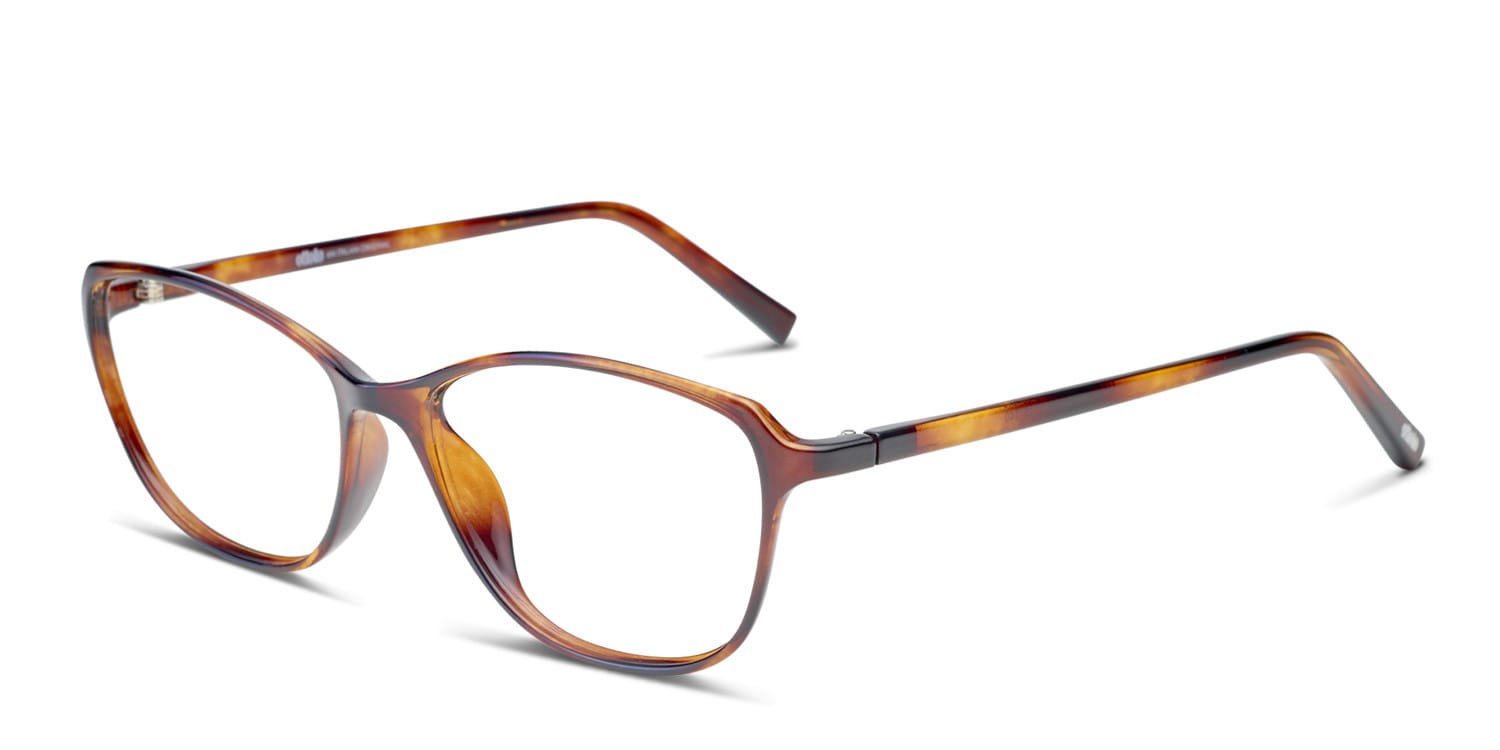 Ottoto Ferrara Tortoise