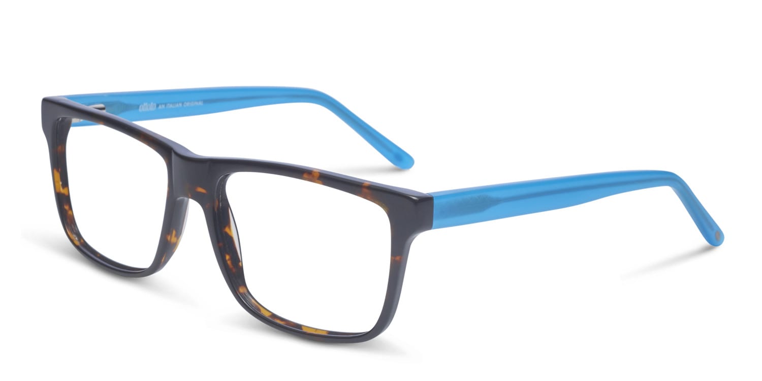 Ottoto Travis Tortoise w/Teal