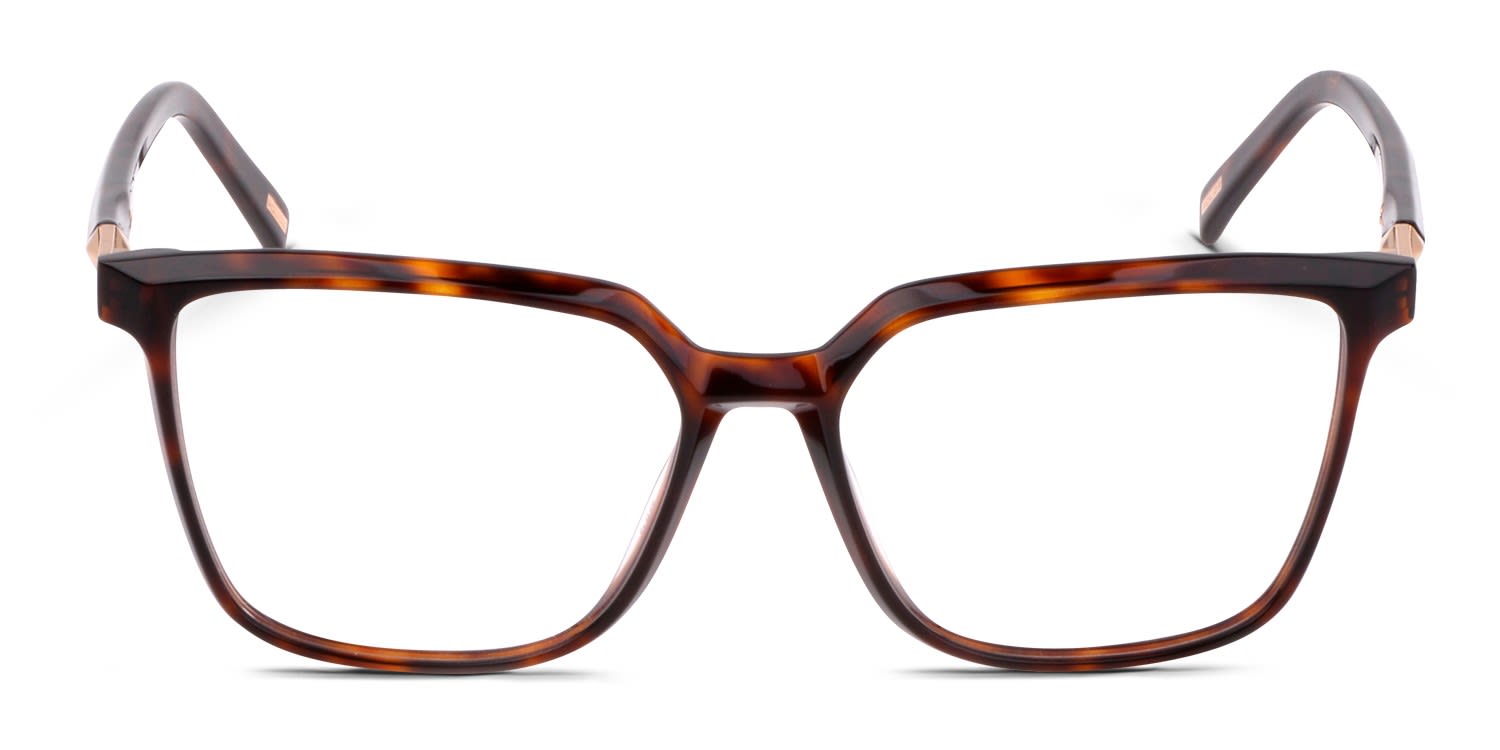 Police Swan 1 VPLF27 Tortoise glasses - Tortoise - Frontal View