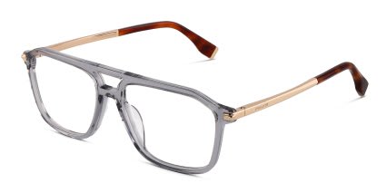 Police Elite 4 VPLU59 Gray, Clear glasses - Gray / Clear - Angle View