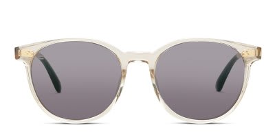 Toms Bellini