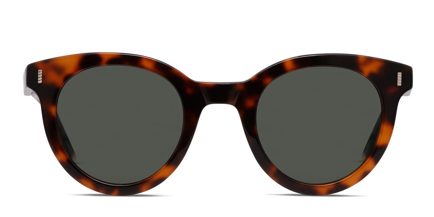 Ottoto Seven Sisters front frame