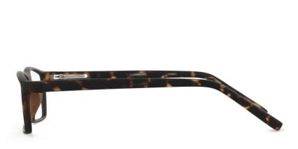 Muse Scholar Tortoise glasses - Tortoise - Side View
