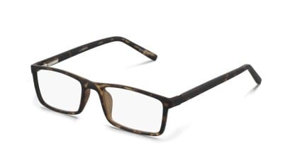 Muse Scholar Tortoise glasses - Tortoise - Angle View